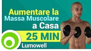 Esercizi da Fare a Casa per Aumentare la Massa Muscolare  Allenamento Completo [upl. by Sidoeht]