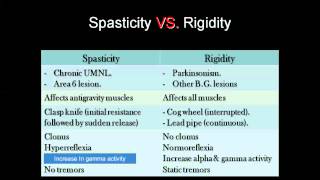 Spasticity vs Rigity amp Decerebrate vs Decorticate [upl. by Leff]