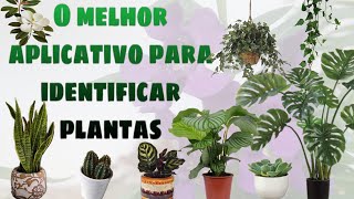 O MELHOR APLICATIVO GRATUITO PARA IDENTIFICAR O NOME DA PLANTA [upl. by Kablesh]