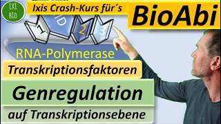 Transkriptionsfaktoren  Genregulation auf Transkriptionsebene detailliert erklärt  BioAbi 15Punkte [upl. by Aniahs245]