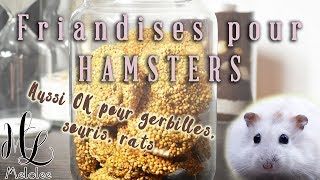 Tuto  friandises pour hamster souris gerbilles rats [upl. by Nayab]