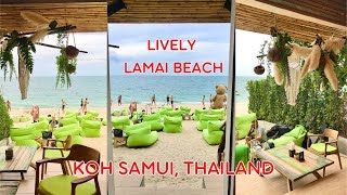 Hows Lamai Beach in Koh Samui look like at Low Season 2023 [upl. by Namsu]