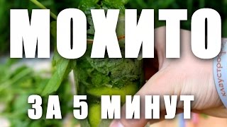 КАК сделать МОХИТО за 5 минут очень вкусное и освежающее [upl. by Plato]