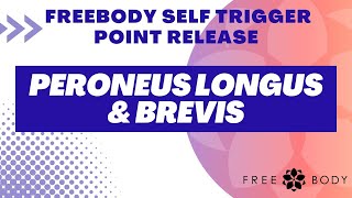 Peroneus Longus and Brevis Self trigger Point Release [upl. by Perceval734]