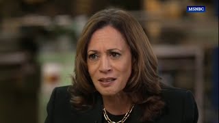 ‘Nonsensical sentences’ Kamala’s old habits reappear in MSNBC interview [upl. by Halbert]