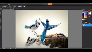 Whats New in PaintShop Pro 2019 [upl. by Hufnagel172]