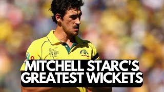 Mitchell Starc Best Bowling Yorkers amp Swinging Wicket Compilation [upl. by Itnahsa]