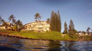 The Best Diving EVER at Koloa Landing  6 of 6 [upl. by Rowena622]