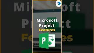 Microsoft Project Features  Microsoft Project Management  Techcanvass [upl. by Assek]