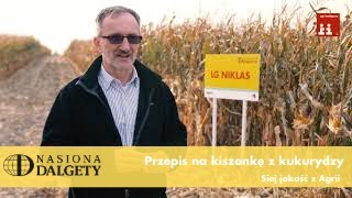 Przepis na kiszonkę z kukurydzy  Agrii Polska [upl. by Ethban999]