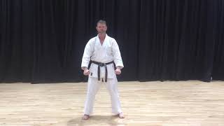 Matt Price Kata Junro Shodan [upl. by Daye]