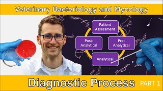 Diagnostic Process Part 1  Veterinary Bacteriology and Mycology [upl. by Aridaj]