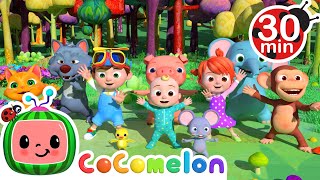 Animal Dance Song and More  CoComelon Animals  Animals for Kids [upl. by Hays]