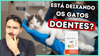 RAÇÃO BIOFRESH CAUSANDO PANCREATITE EM GATOS [upl. by Oap749]