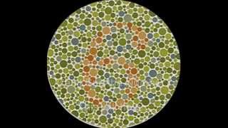 color blindness test CHEAT [upl. by Stacia]