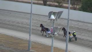 Bendio Harness Racing Club Trials [upl. by Scriven]