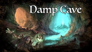 DampD Ambience  Damp Cave [upl. by Berns]