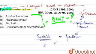 Pyrethrin is extracted from [upl. by Ahsemed]