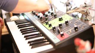 Moog Grandmother Sample and Hold Sync to self  dfam patching demo [upl. by Aetnahc]