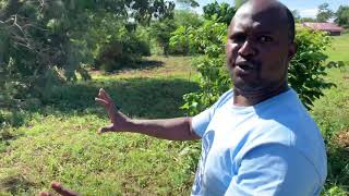 Uganda Handdigging a well at Emmaus School [upl. by Dante]