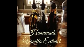 Vlogmas Day 15 How I Make My Homemade Vanilla Extract [upl. by Oiraved405]