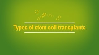 Types of stem cell transplants autologous vs allogeneic [upl. by Harvard]