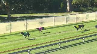 Capalaba28072024Race6 [upl. by Dodson]