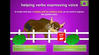 Helping auxiliary verbs expressing the PASSIVE VOICE Grammar lesson [upl. by Homerus]