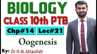 Oogenesis  Chapter  14  Biology Class 10th  Lec 21 [upl. by Sudderth815]