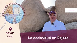 Día 4 La esclavitud en Egipto📍Asuán Egipto I Éxodo Peregrinación de la Libertad  Magdala [upl. by Irod]