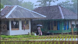 Aktivitas Saat Hujan Lebat Di Kampung Terujung Jawa Barat Sejuk amp Bikin Damai  Pedesaan Indonesia [upl. by Uase772]