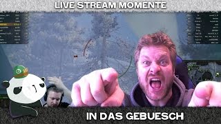 Best of gRuMM3l 2  In das Gebüsch [upl. by Aicnom401]