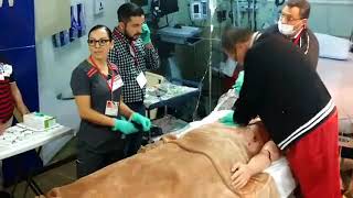 Curso Certificación ACLS Soporte Vital Cardiovascular Avanzado [upl. by Ynnhoj778]