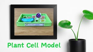 Paper Plant Cell Model [upl. by Alleroif209]