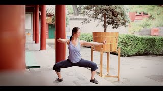 8 Brocades Qigong Practice [upl. by Serge]