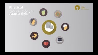 The Phases of Grief  understanding bereavement [upl. by Irena]