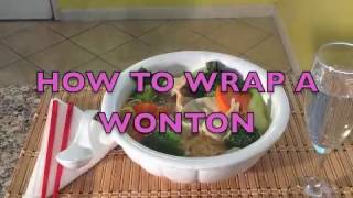 Chinese DumplingsHow to Wrap Wontons Vietnamese Dumplings [upl. by Otrebire]