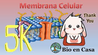 TODO sobre Membrana celular [upl. by Ardith]