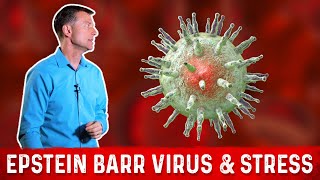 What is Epstein Barr Virus EBV  Symptoms amp Treatment – Dr Berg [upl. by Nylirehs343]