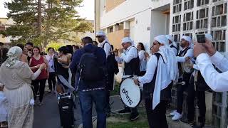 Groupe de zorna algérien Moustapha ambiance mariage tunisien algérien le 14 octobre 2017 [upl. by Epner743]