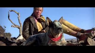 DinkiDi meat amp vegies Mad Max 2 1981 [upl. by Taffy520]