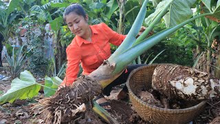 The Giant Taro Root Is Grown By Grandmother  Healthy taro root soup cooking  Cooking with Sreypov [upl. by Ardnos943]