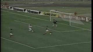 CUARTOS DE FINAL COPA AMERICA 1993 MEXICO 42 PERU [upl. by Gar530]