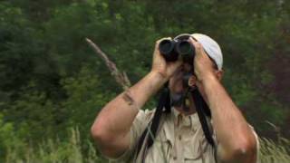 Nikon EDG Binoculars  Nikon Pro Review [upl. by Mcgruter]