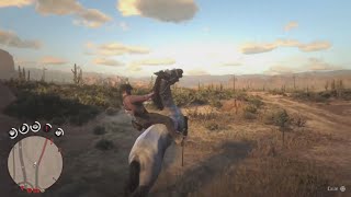 Red Dead Redemption 2  Horseman Challenge 10  Break Every Wild horse Breed [upl. by Narine]