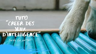 Tuto Créer des jeux dintelligence pour votre chien [upl. by Rovner]