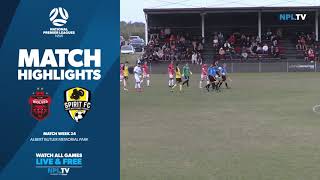 NPL NSW Mens Round 24 Fixture – Wollongong Wolves v NWS Spirit [upl. by Wilinski]