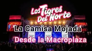 Camisa Mojada En Vivo Los Tigres del Norte 2024 [upl. by Aneroc]