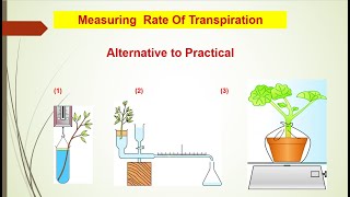 Potometer Measuring Transpiration InvestigationsAlternative to Practical IGCSE 0610O level 5090 [upl. by Eiloj241]