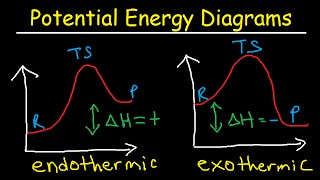 Potential Energy Diagrams  Chemistry  Catalyst Endothermic amp Exothermic Reactions [upl. by Angelique]